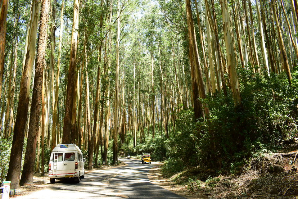 Photo of Our Coonoor Trip, A Worthy Short Break... by Pramit Basu