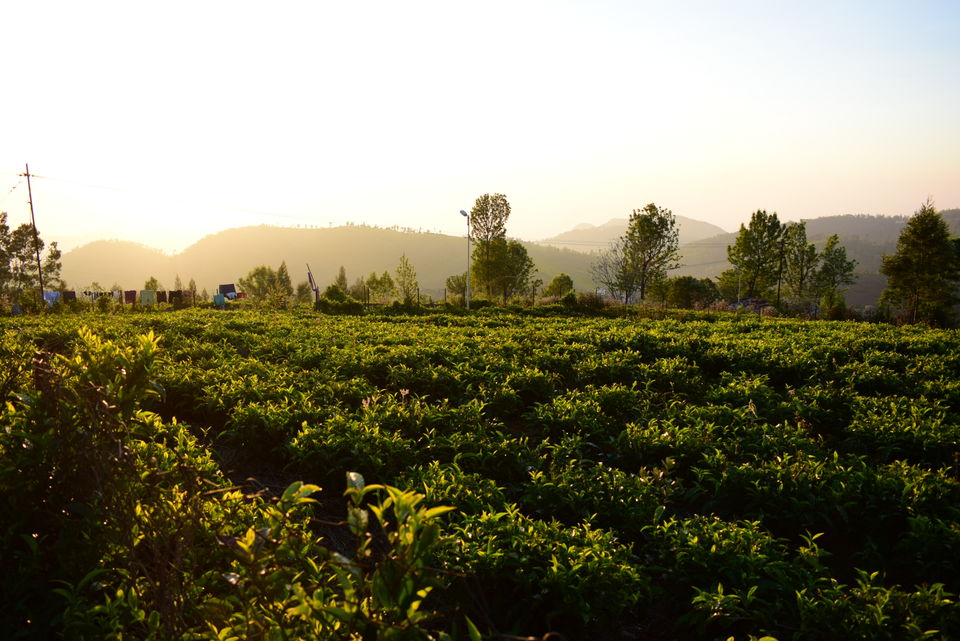 Photo of Our Coonoor Trip, A Worthy Short Break... by Pramit Basu
