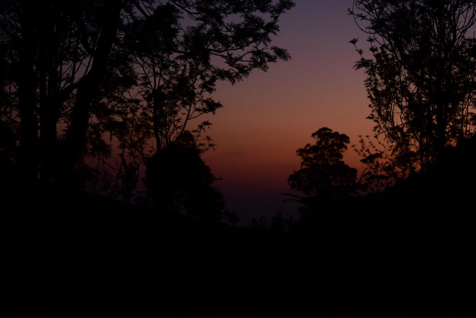 Photo of Our Coonoor Trip, A Worthy Short Break... by Pramit Basu