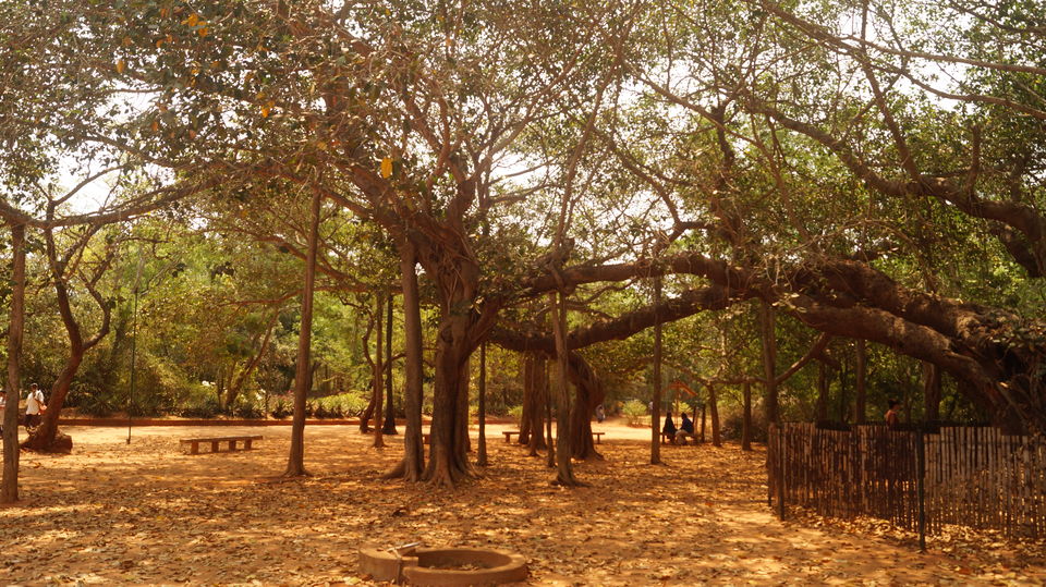 Photo of 2 Day Trip to Mahabalipuram and Pondicherry @ Rs:2000 from Hyderabad. 8/8 by Surendra Mannem