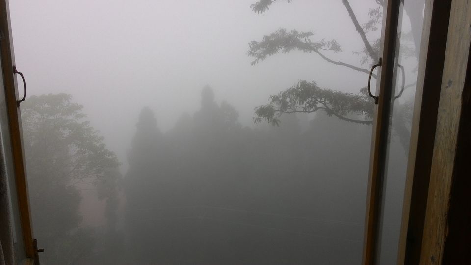 Photo of Sandakphu Trek - Part 1: Reaching the Base Point - 700 KM Road Trip - Mistakes n Adventure 6/8 by Wanderlust Ashok