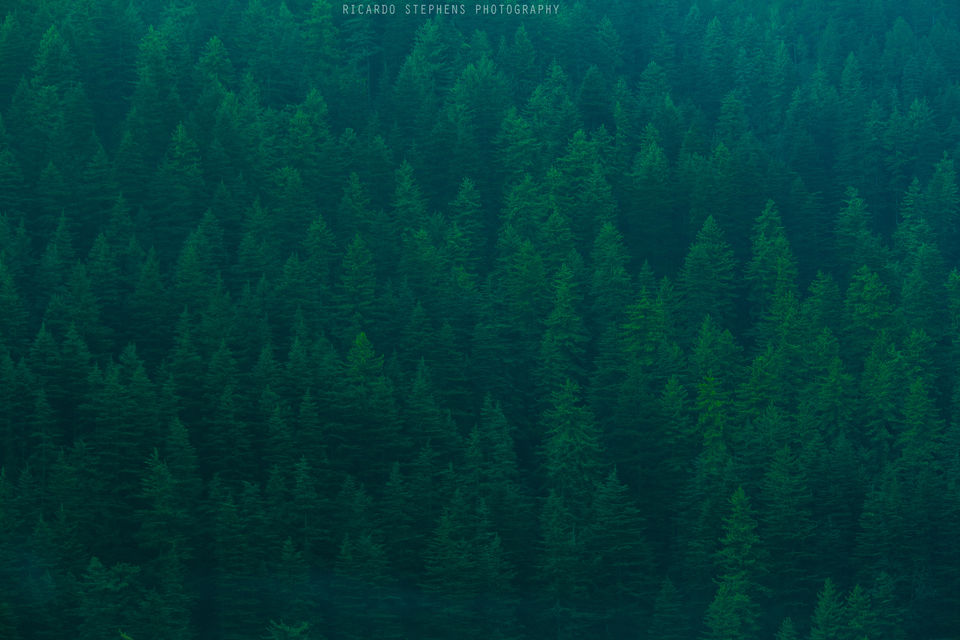 Photo of 7 words that best define my Parvati Valley experience. 3/7 by Ricardo Stephens