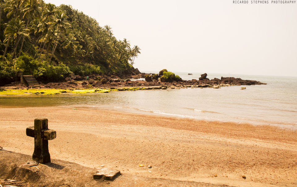 Photo of Goa Uncensored 4/15 by Ricardo Stephens