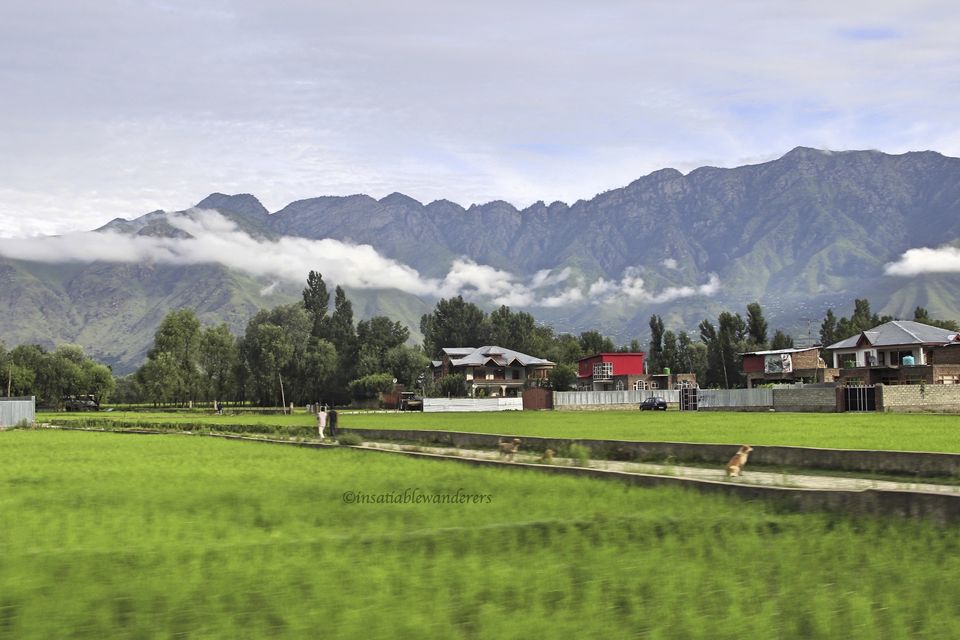 Photo of Do-it-yourself: 10-day trip to Ladakh on a shoestring budget! 4/25 by Jyoti Desar
