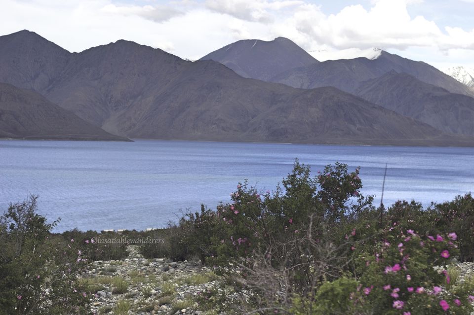Photo of Do-it-yourself: 10-day trip to Ladakh on a shoestring budget! 12/25 by Jyoti Desar