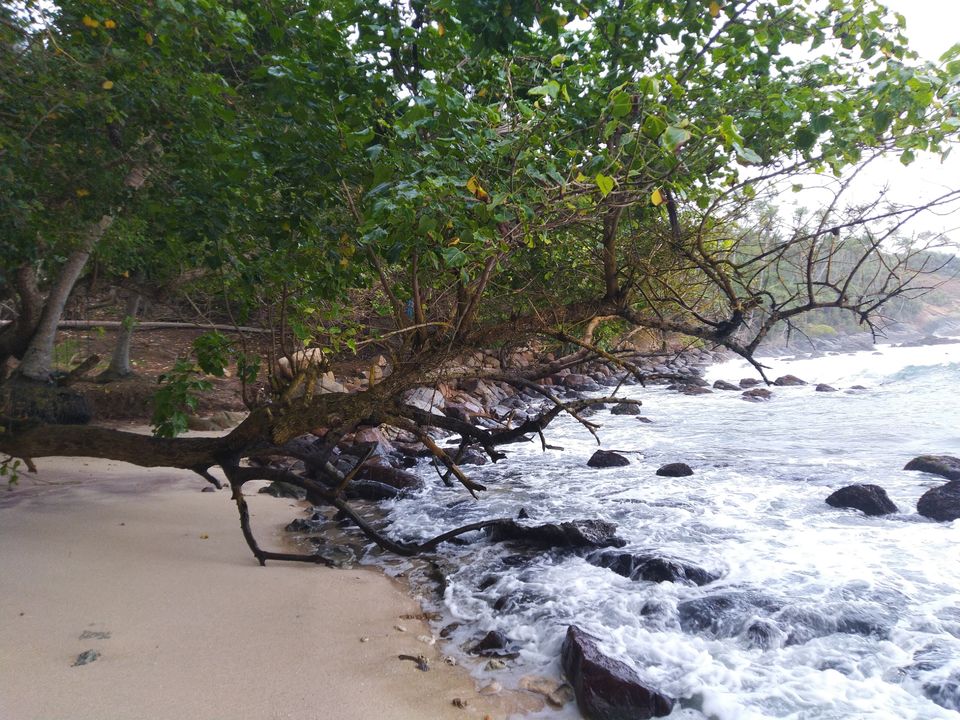 Photo of Srilanka Never Miss 7 Days @20K by Jagannathan Janakiraman