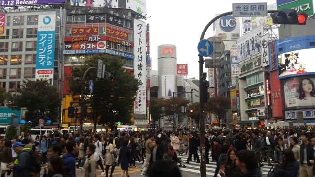 Photo of Don Quijote Shibuya, Shibuya, Tokyo, Japan by Lucy Plummer