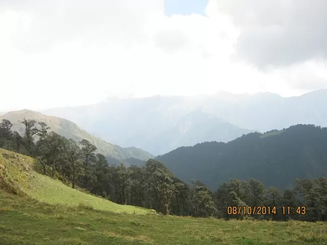 Photo of Ali Bugyal, Roopkund Trail, Chamoli, Uttarakhand, India by Paraj Singh