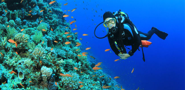 Photo of Andaman Islands, North and Middle Andaman, Andaman and Nicobar Islands, India by Le Voyageur