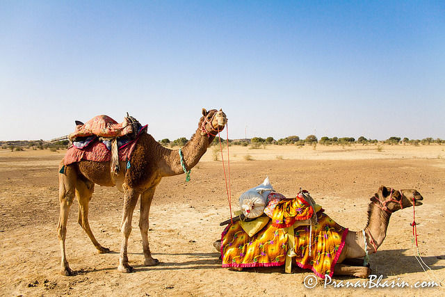 Photo of 17 Unexpectedly Awesome Things To Do In Rajasthan 1/14 by Himani Khatreja
