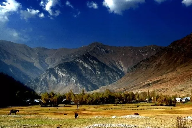 Photo of Gurez Valley, Forest Block by Himani Khatreja