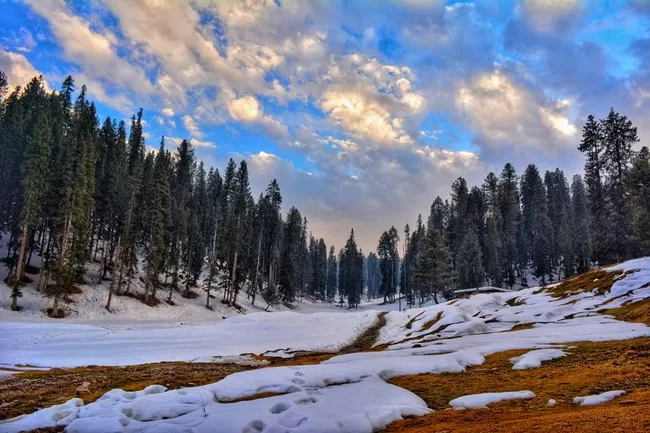 Photo of Yusmarg, Forest Block by Himani Khatreja