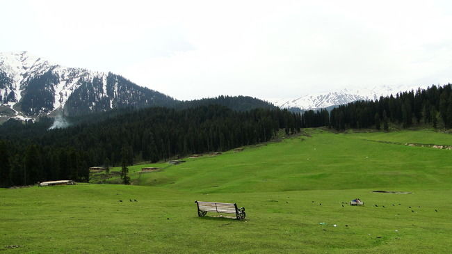 Photo of These 8 Places to Visit In Kashmir Will Make You Cancel Your Ladakh Trip Right Now by Himani Khatreja