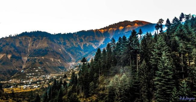 Photo of These 8 Places to Visit In Kashmir Will Make You Cancel Your Ladakh Trip Right Now by Himani Khatreja
