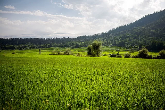 Photo of Lolab by Himani Khatreja