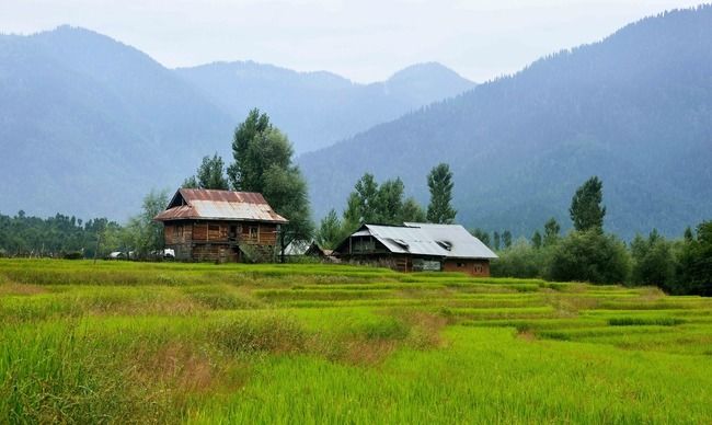 Photo of These 8 Places to Visit In Kashmir Will Make You Cancel Your Ladakh Trip Right Now by Himani Khatreja