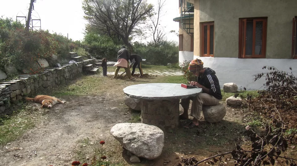 Photo of Ghoomakad, Rakkar, Himachal Pradesh, India by Himani Khatreja