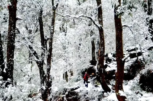 Photo of Nainital, Uttarakhand, India by Gunjan Upreti