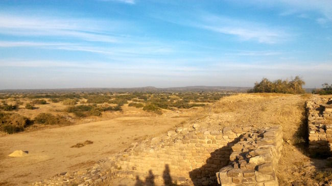 Photo of Rann of Kutch Diaries – 2 (The 'non' touristy trip) by Vipin Gopinath