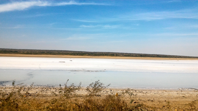 Photo of Rann of Kutch Diaries – 2 (The 'non' touristy trip) by Vipin Gopinath