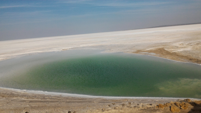 Photo of Rann of Kutch Diaries – 2 (The 'non' touristy trip) by Vipin Gopinath
