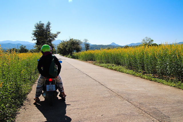 Photo of Mae Hong Son Loop Motorrad Kurs Rural Road Mae Hong Son 4024 Pai Mae Hong Son Thailand by Himani Khatreja