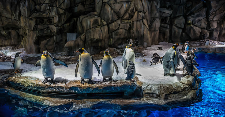 Photo of 10 Exclusive Experiences In Hong Kong That Make It The Perfect Family Destination This Summer by Himani Khatreja