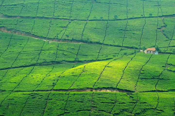 Photo of Why Affordable Bandung, And Not Bali In Indonesia Is The Most Exciting Destination For Indians by Himani Khatreja