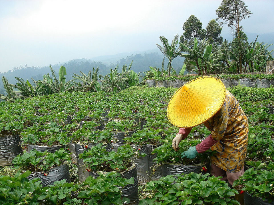 Photo of Why Affordable Bandung, And Not Bali In Indonesia Is The Most Exciting Destination For Indians by Himani Khatreja