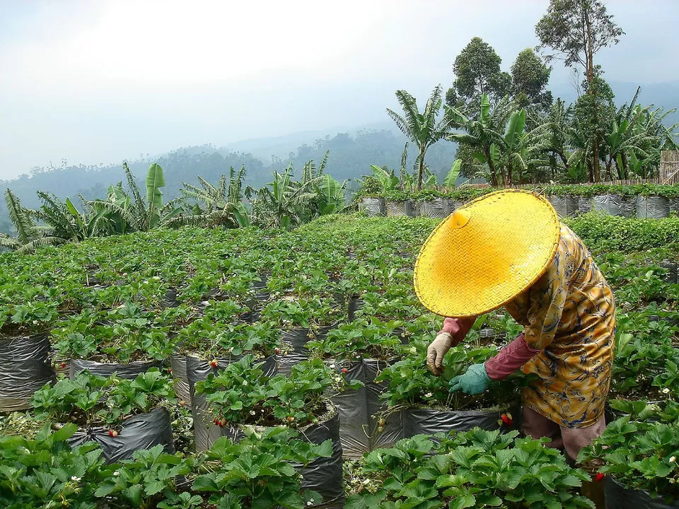 Photo of Why Affordable Bandung, And Not Bali In Indonesia Is The Most Exciting Destination For Indians by Himani Khatreja