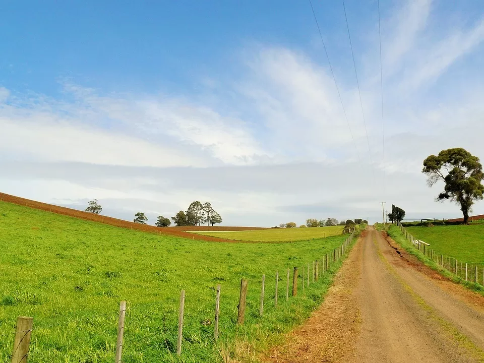 Photo of Tasmania, Australia by Himani Khatreja