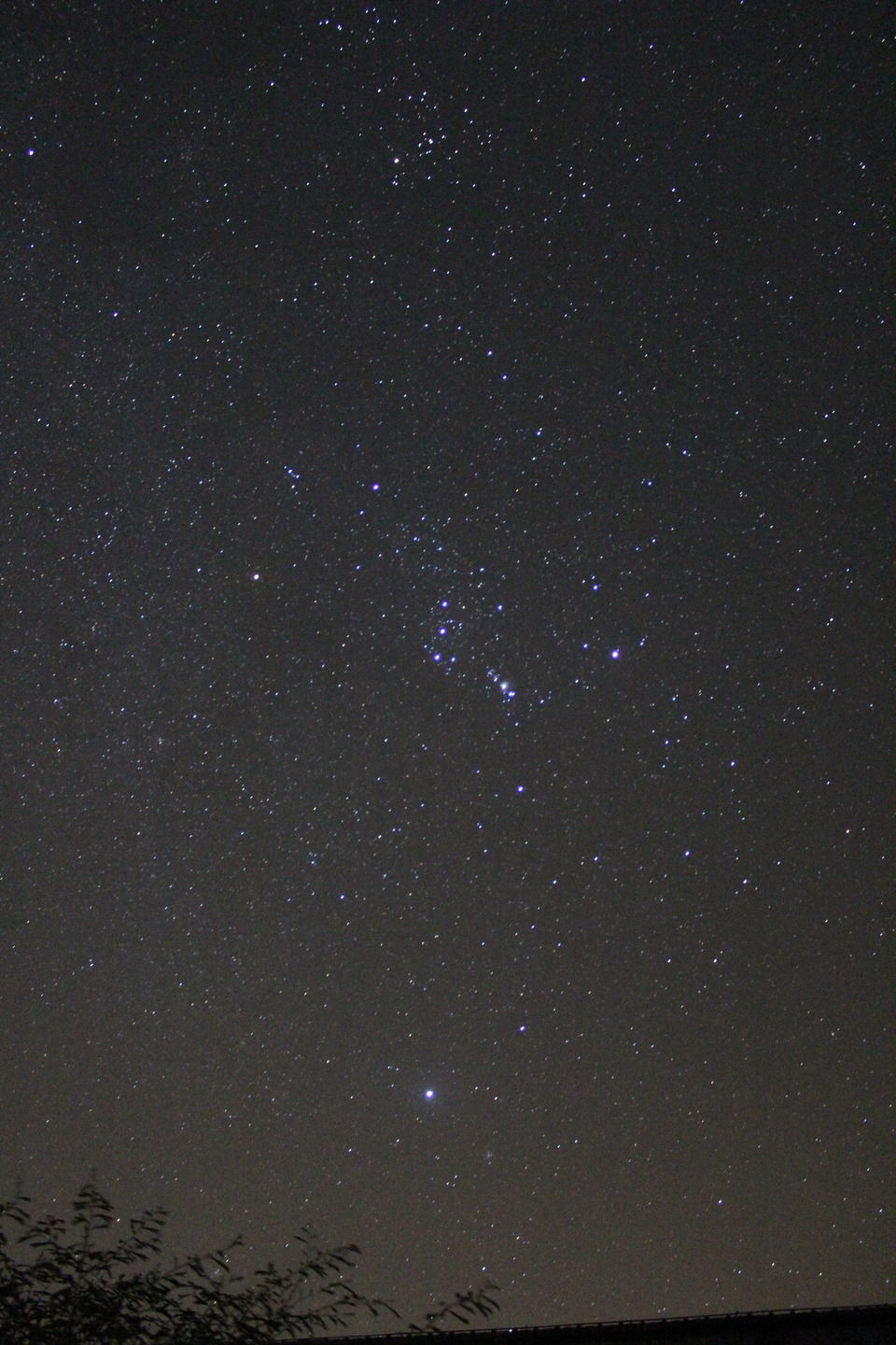 Photo of Astroport Space, Tehla, Rajasthan, India by Aakanksha Magan