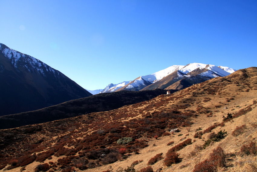 Photo of Breathtakingly Beautiful Treks In Bhutan That Indian Trekkers Still Don't Know About by Himani Khatreja