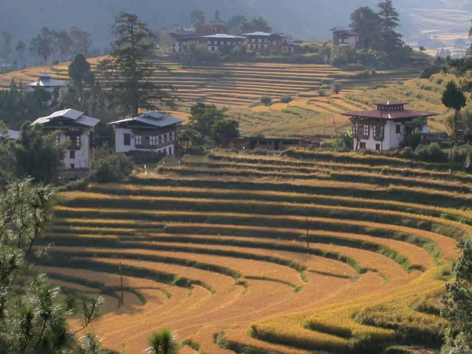 Photo of Breathtakingly Beautiful Treks In Bhutan That Indian Trekkers Still Don't Know About by Himani Khatreja
