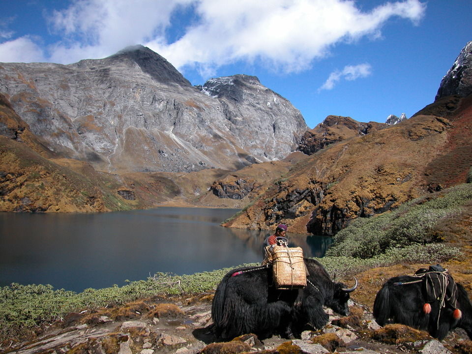Photo of Breathtakingly Beautiful Treks In Bhutan That Indian Trekkers Still Don't Know About by Himani Khatreja