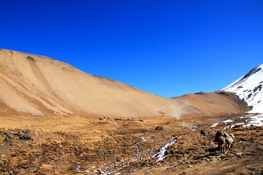 Photo of Breathtakingly Beautiful Treks In Bhutan That Indian Trekkers Still Don't Know About by Himani Khatreja