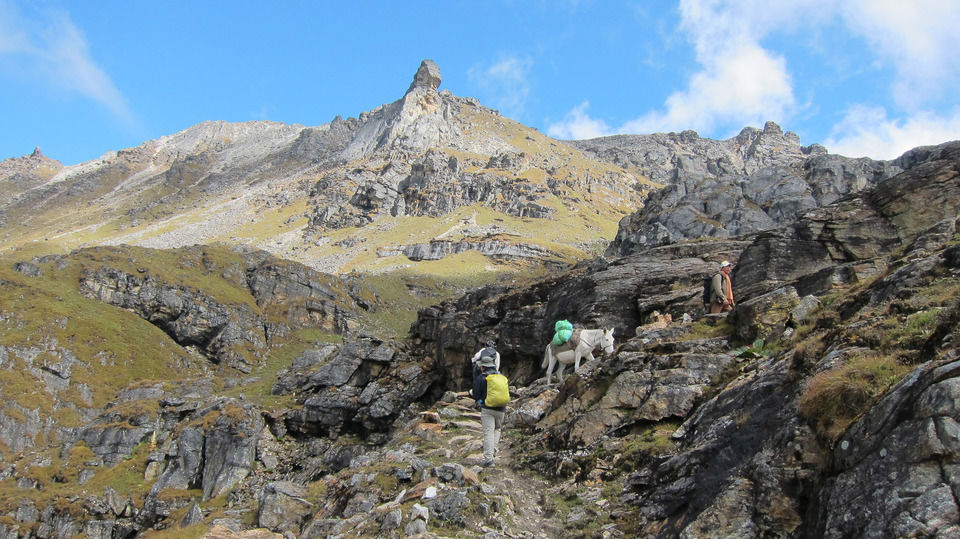 Photo of Breathtakingly Beautiful Treks In Bhutan That Indian Trekkers Still Don't Know About by Himani Khatreja