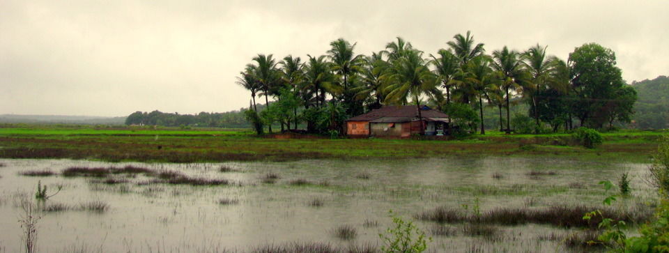 Image result for Divar Island