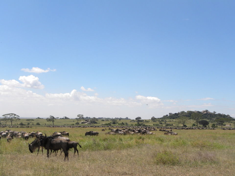 Photo of Tanzania by Caitlin Graaf