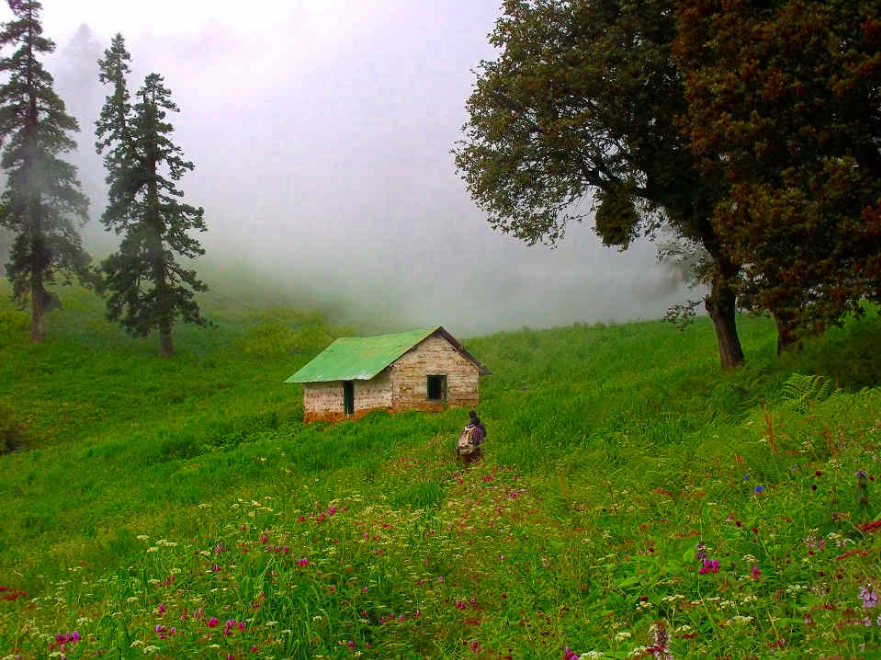 Photo of The Great Himalayan National Park: How To Go, What To Do, And All Other Questions Answered by Himani Khatreja