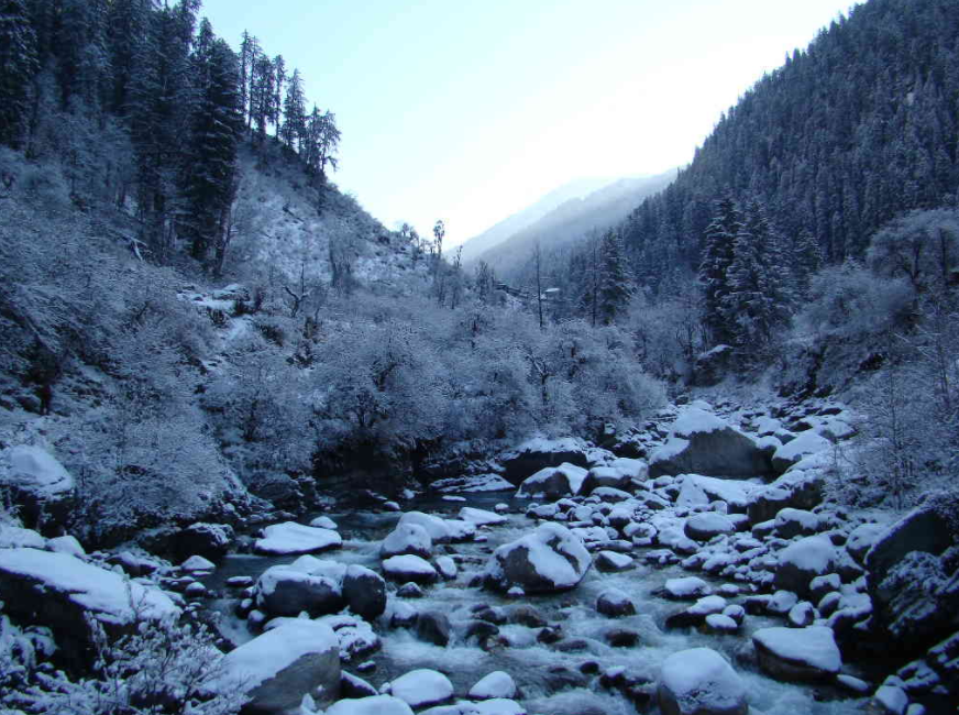 Photo of The Great Himalayan National Park: How To Go, What To Do, And All Other Questions Answered by Himani Khatreja