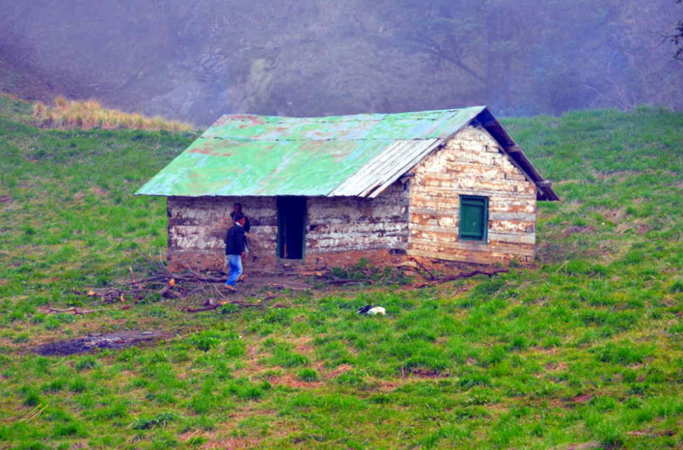 Photo of The Great Himalayan National Park: How To Go, What To Do, And All Other Questions Answered by Himani Khatreja