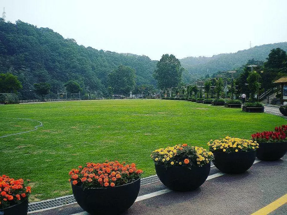 Photo of South Korea by JS Anne