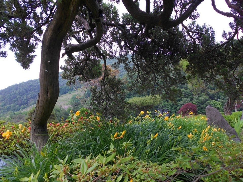 Photo of Why is South Korea called a land of morning calm ! by Jaya Sarathe Anne