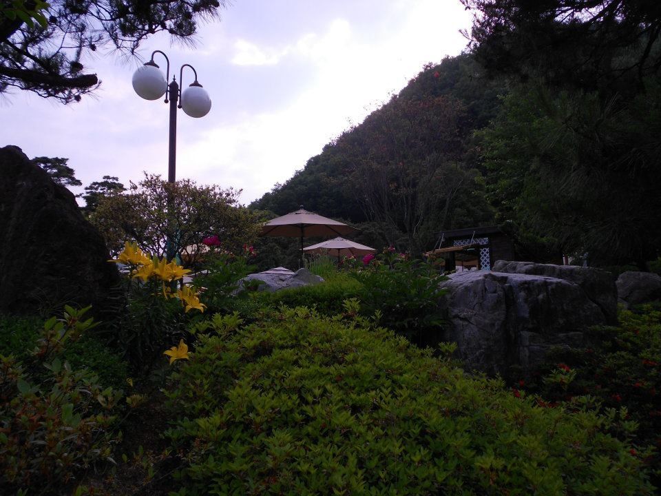 Photo of Why is South Korea called a land of morning calm ! by Jaya Sarathe Anne