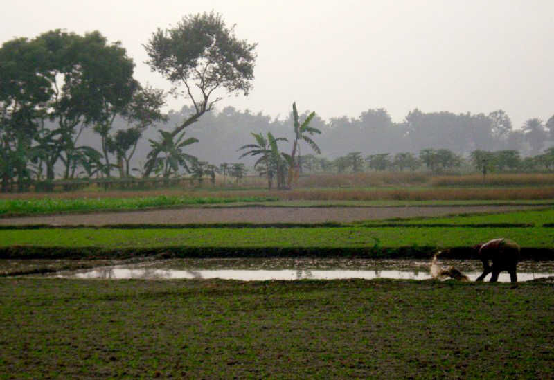 Photo of Chittagong, Chittagong Division, Bangladesh by Yamuna Matheswaran