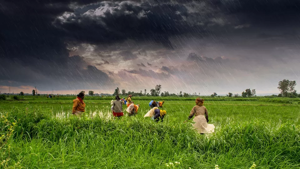 Photo of Madhya Pradesh, India by Sreshti Verma