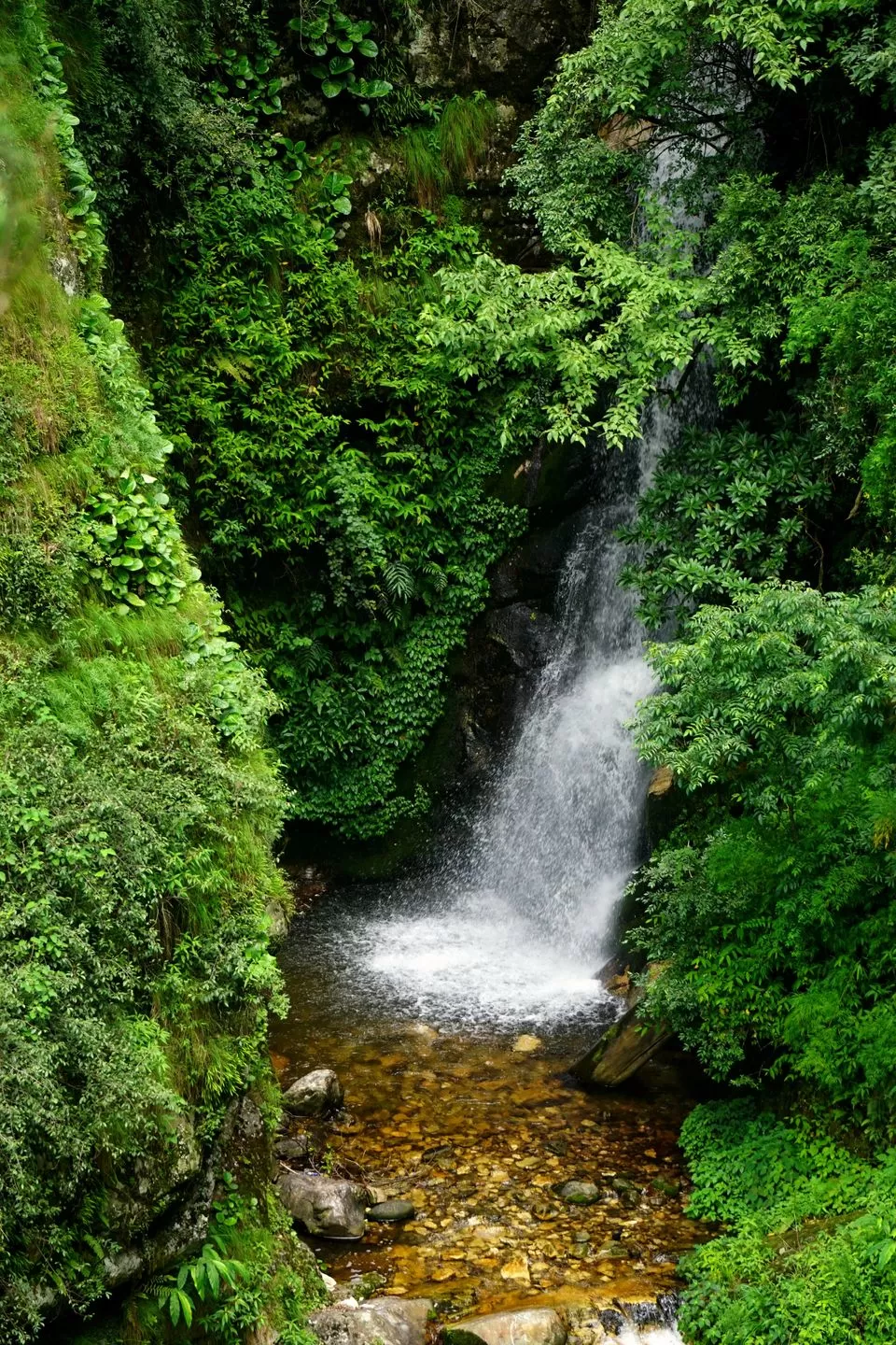 Photo of Chhoie Waterfall, Sharchi, Himachal Pradesh, India by Himani Khatreja