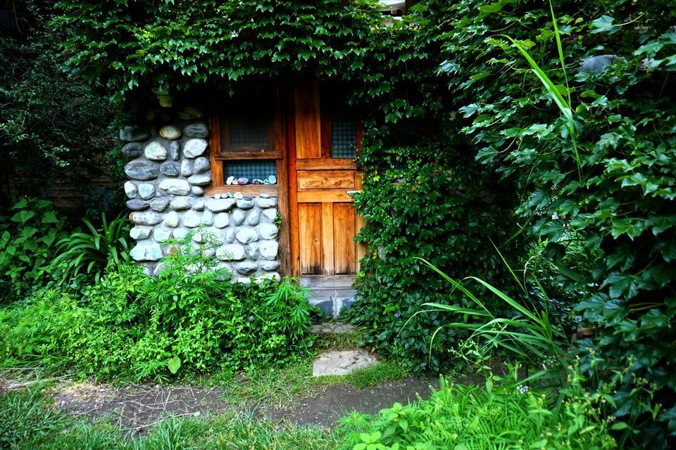 Photo of Under ₹1500, This Charming Cottage By Tirthan River Will Greet You With Plum Orchards And Four Cats 2/2 by Himani Khatreja