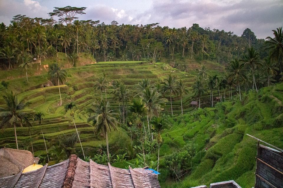 Photo of This Hidden Bamboo Hut In Bali Is A Tiny Piece Of Paradise That You Can't Miss by Aakanksha Magan